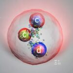 Científicos del CERN descubren una nueva partícula