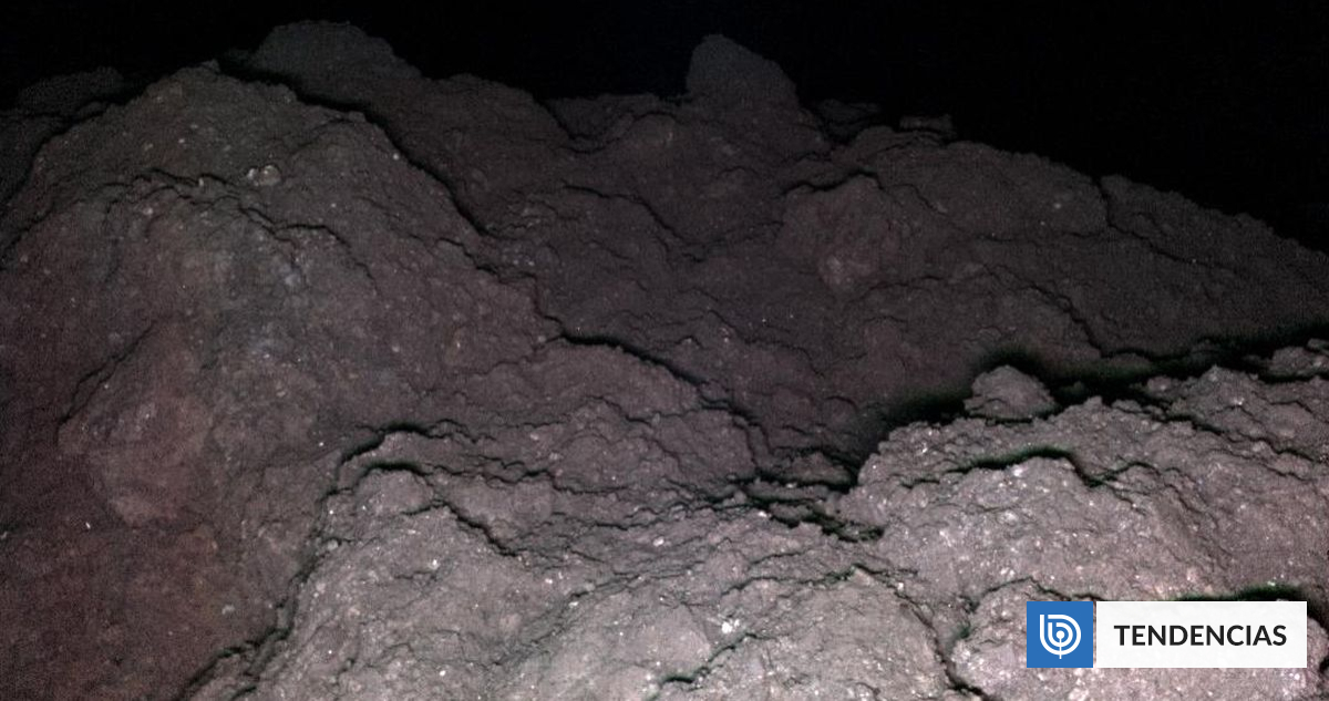 El asteroide Ryugu tiene las 5 nucleobases del ADN y el ARN terrestres