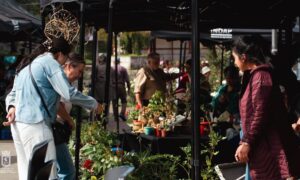 Emprendedoras protagonizaron exitosa Expo Plantas y Flores en Panguipulli