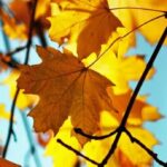 Equinoccio de otoño: cuándo y a qué hora termina exactamente el verano