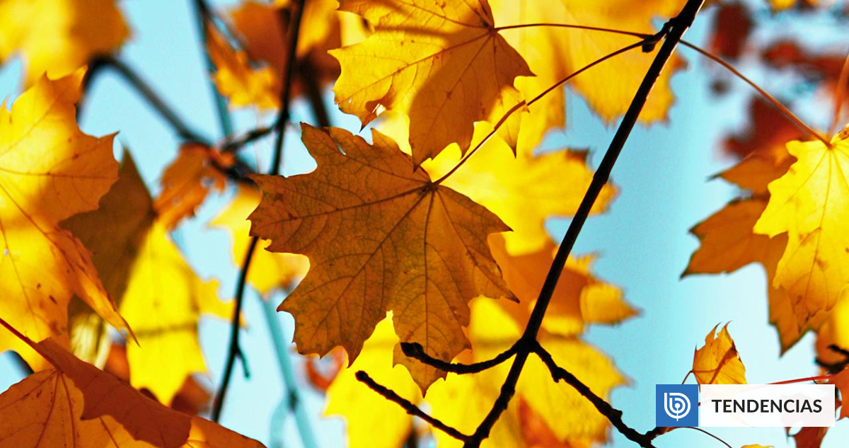 Equinoccio de otoño: cuándo y a qué hora termina exactamente el verano | Ciencia y Tecnología