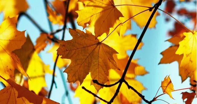 Equinoccio de otoño: cuándo y a qué hora termina exactamente el verano