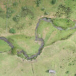 Estudio revela que Monte Verde, en Chile, no sería el asentamiento más antiguo de América