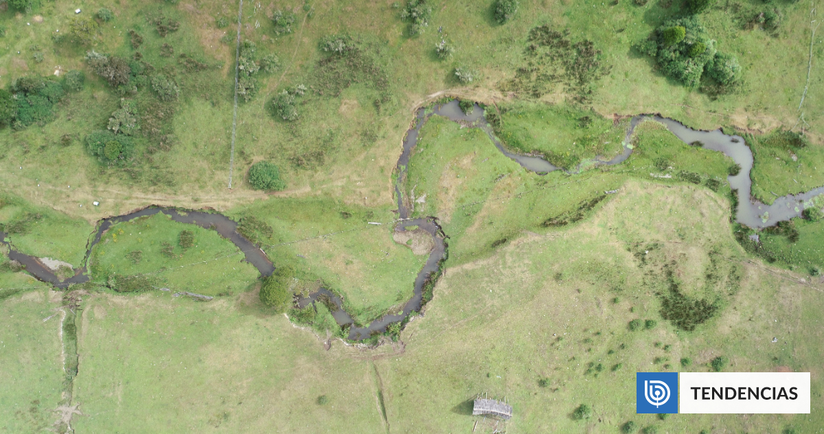 Estudio revela que Monte Verde, en Chile, no sería el asentamiento más antiguo de América