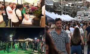 Panguipulli Sietelagos cerró temporada estival con alta ocupación turística