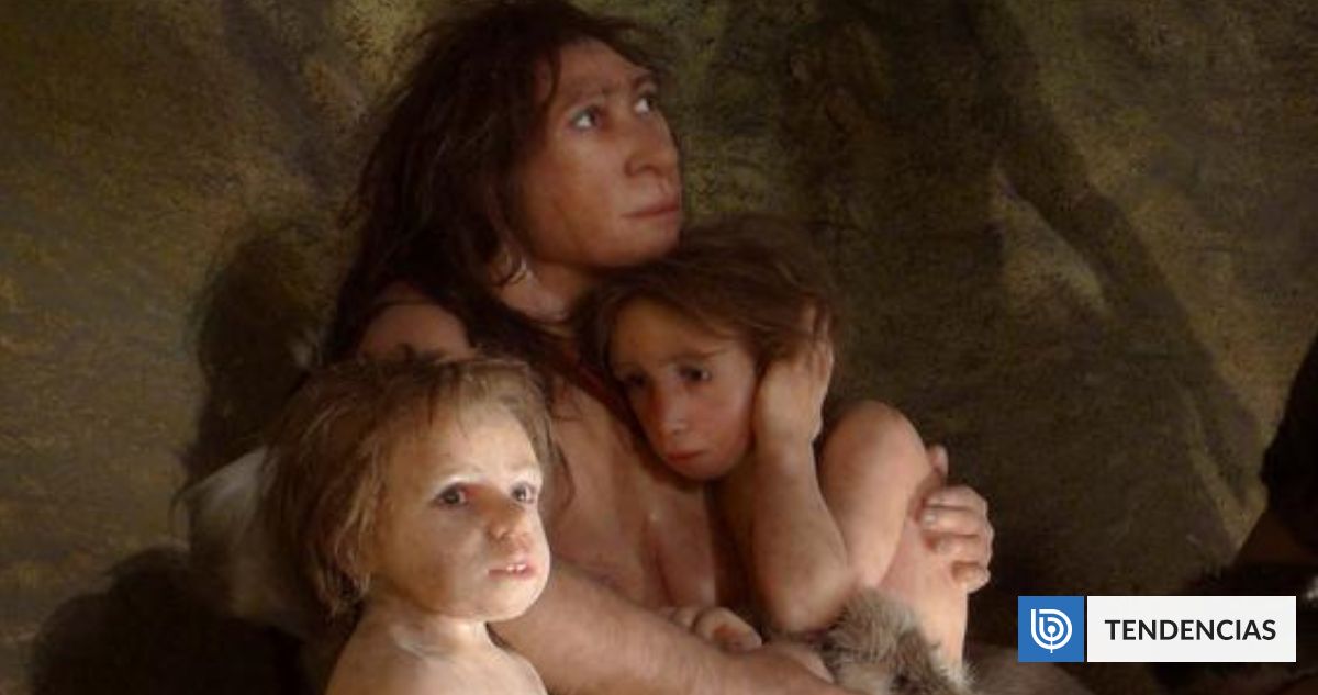 Bebés neandertales crecían mucho más rápido que el humano actual: a los 6 meses se veían de 14 | Ciencia y Tecnología