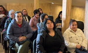 Emprendedoras de Castro reciben capacitación sobre Capital Abeja y formalización