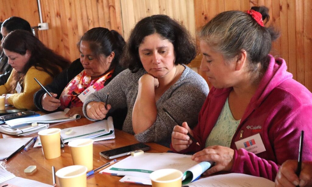 Mujeres del mar fortalecen sus negocios con Emprendamos Capital Semilla Chiloé