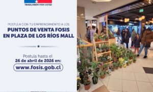 Últimos días para postular a módulos de venta en centro comercial valdiviano
