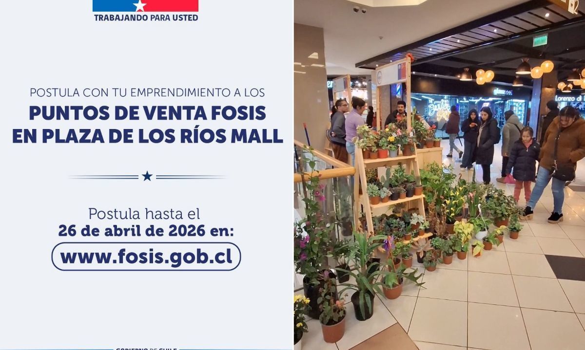 Últimos días para postular a módulos de venta en centro comercial valdiviano
