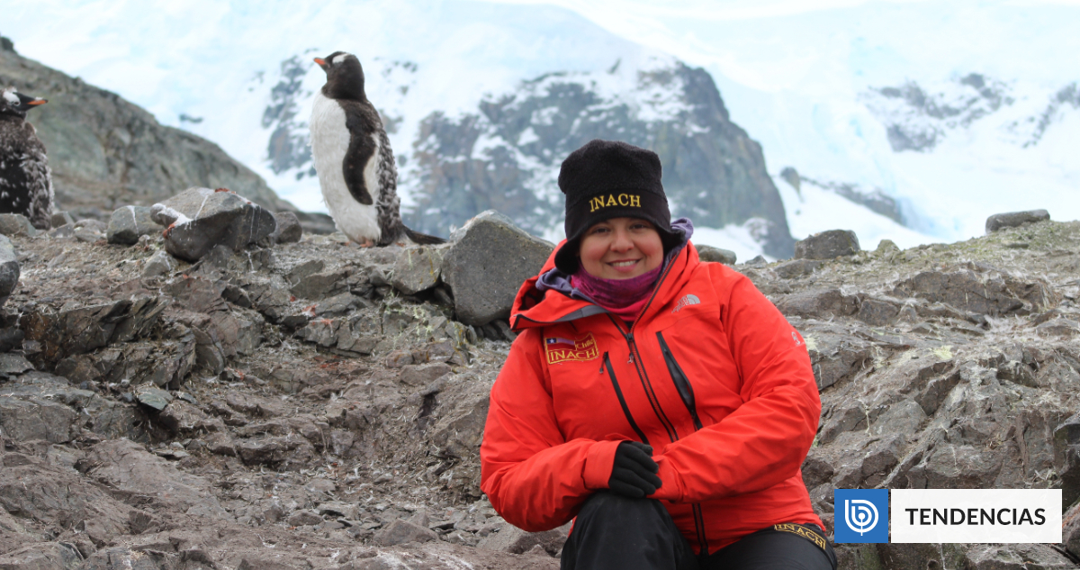 Daly Noll, la bióloga chilena que descubrió una nueva especie de pingüino