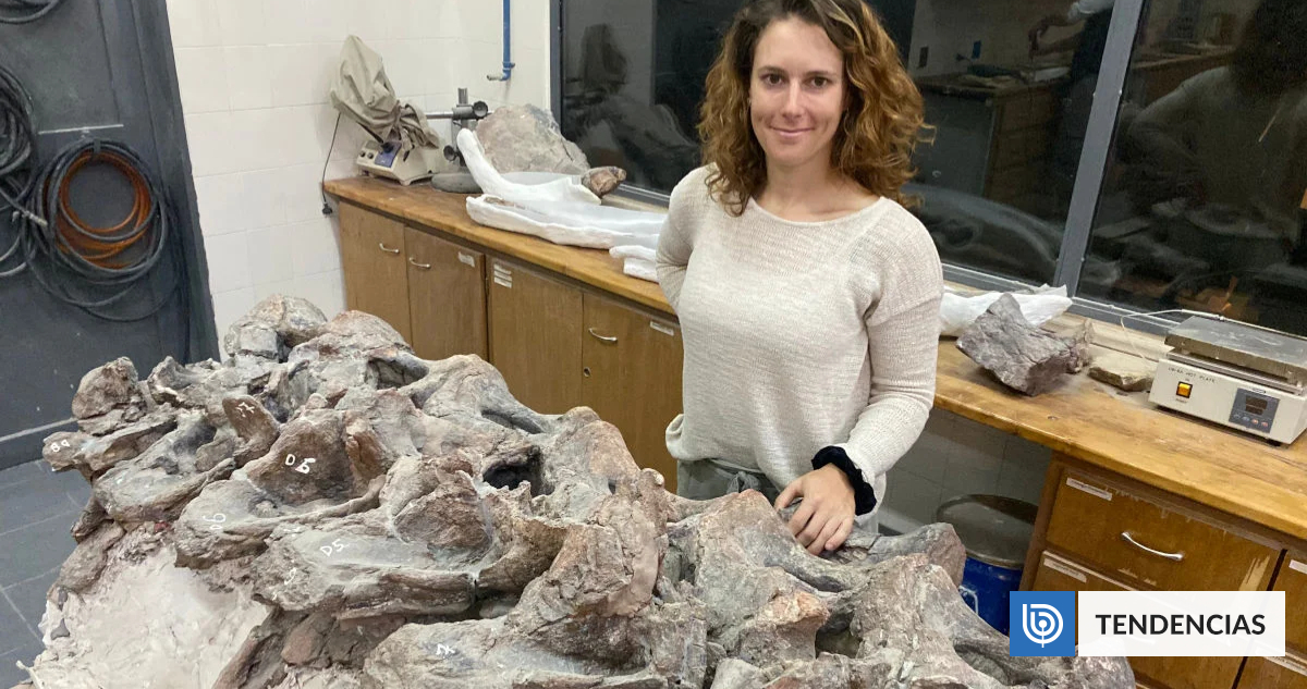 Descubren un raro dinosaurio gigante en la Patagonia
