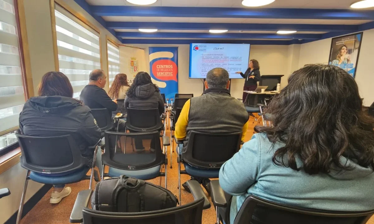 Emprendedores se capacitan en modelo de negocios y video Pitch en Castro