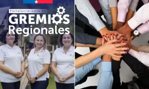 Inicia llamado a Fondo de Fortalecimiento Gremial Gremios Regionales