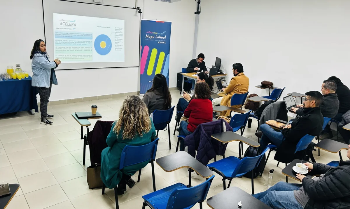 Programa Acelera Mapu Lahual finaliza con éxito su acompañamiento a empresas locales