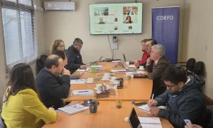Subcomité de Fomento Los Lagos aprueba más de $330 millones para impulsar turismo y Pymes