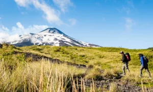 World Travel Awards 2026: Chile busca ratificar su liderazgo en los «Óscar del turismo»