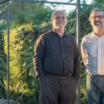 Chilenos crean un biofiltro que limpia el aire tras la quema de leña