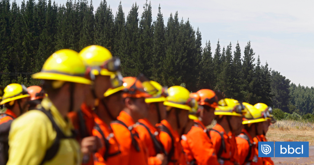 Crisis en sector forestal: empresas contratistas de CMPC suman cerca de 700 trabajadores desvinculados
