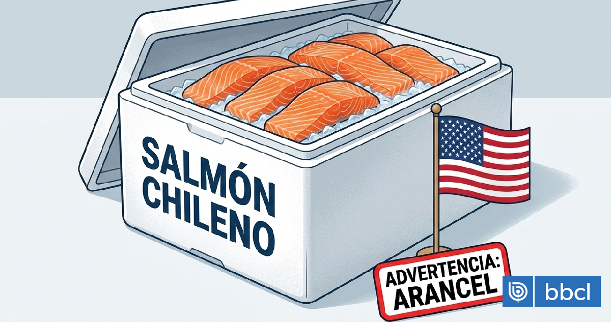 El salmón chileno bajo presión ante posible «castigo» arancelario de EEUU a Chile por trabajo forzoso