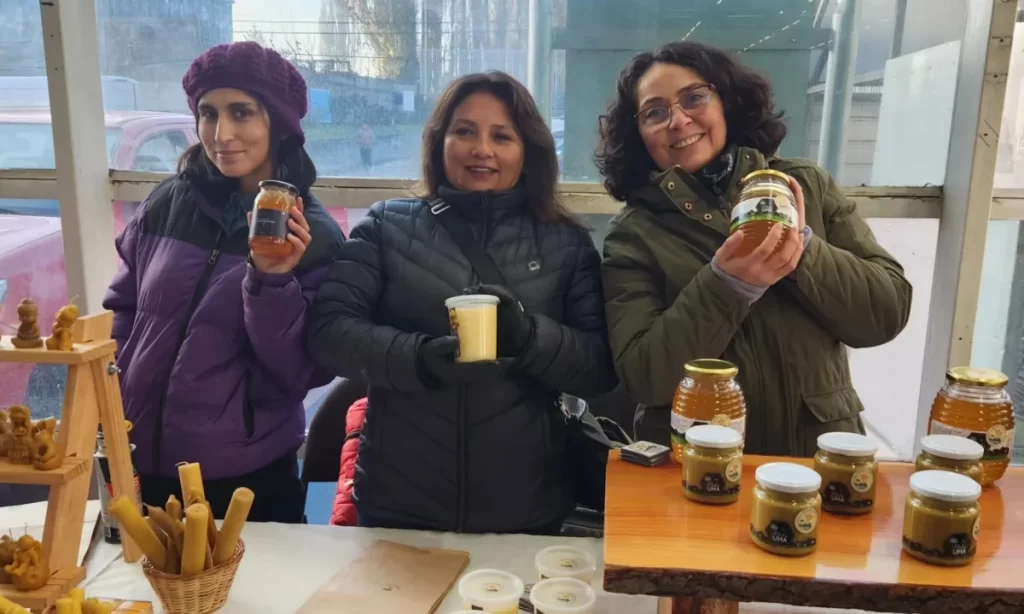Llaman a cooperativas de Aysén a postular a Emprendamos Grupal