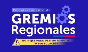 Llaman a postular con tiempo al programa Fortalecimiento de Gremios Regionales
