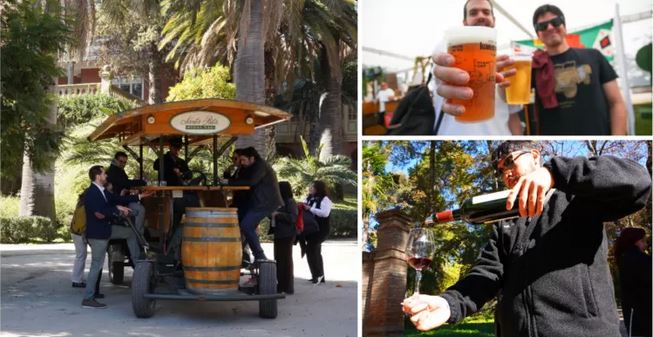 Las tácticas de los viñateros chilenos ante caída mundial del consumo de vino