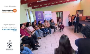 Emprendedores locales fortalecen sus capacidades de innovación con programa Innova Más Río Bueno