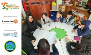 Estudiantes de Los Lagos potencian su talento innovador con programa apoyado por Corfo