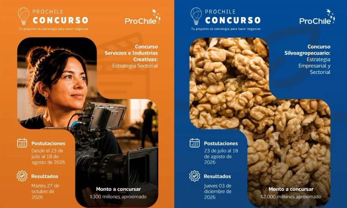 ProChile lanza concursos para impulsar la exportación de empresas y gremios