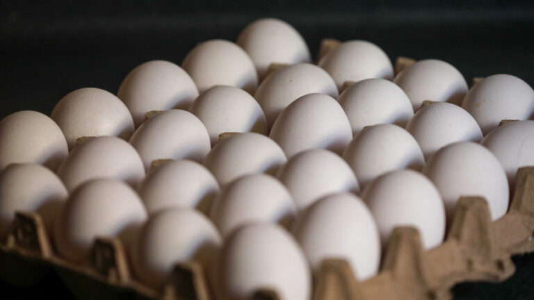 Producción de huevos para consumo bajó 1,1% y número de gallinas de postura disminuyó 3,2% en mayo