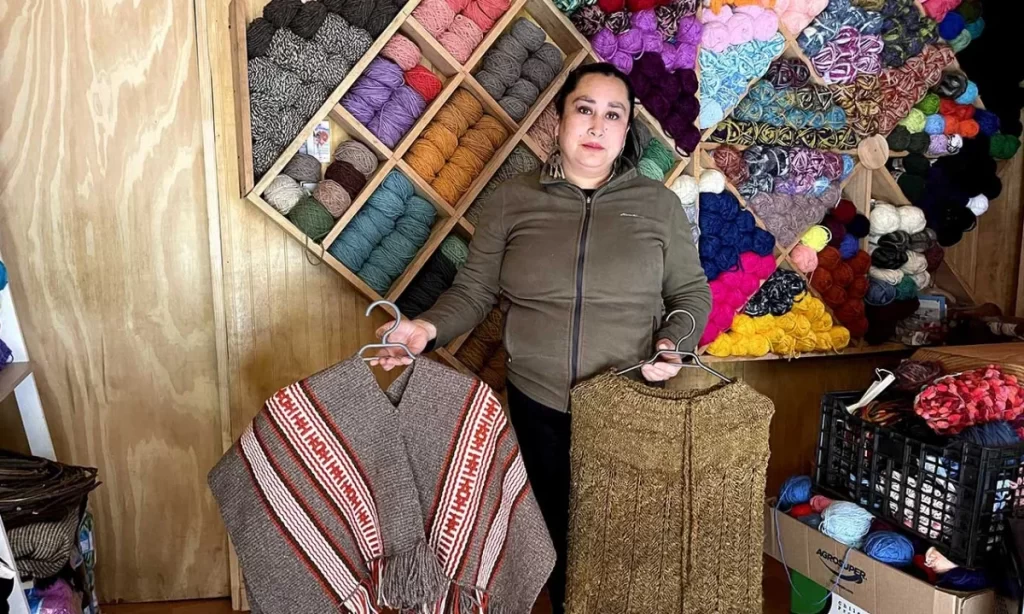 Programa Impulsamos Juntos se extiende desde Corral a Valdivia para apoyar a emprendedores