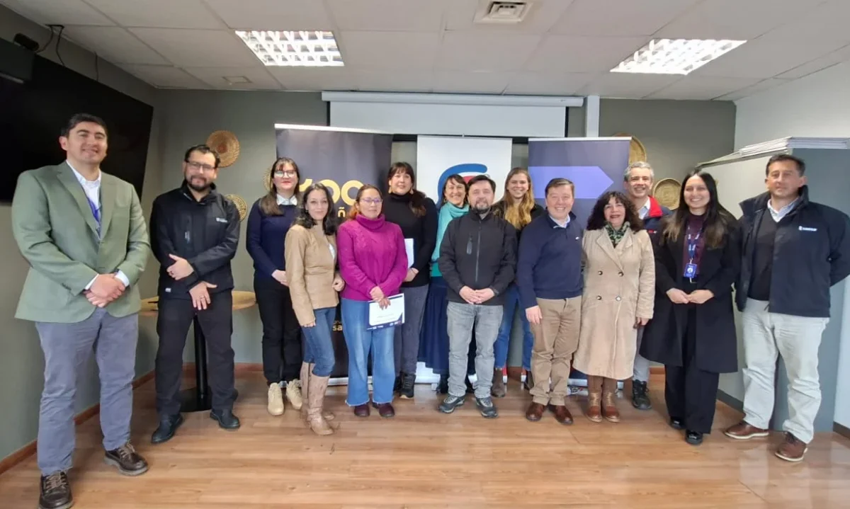 Reconocen a emprendedoras de Los Lagos ganadoras de Mujeres con Energía