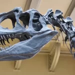 Descubren de qué era el meteorito que extinguió a los dinosaurios