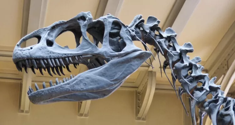 Descubren de qué era el meteorito que extinguió a los dinosaurios