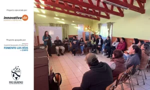 Emprendedores destacan aporte de «Innova Más Río Bueno» para fortalecer sus negocios
