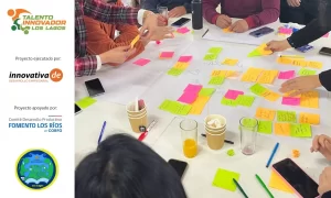 Estudiantes de Los Lagos avanzan hacia el desarrollo de sus primeras soluciones innovadoras