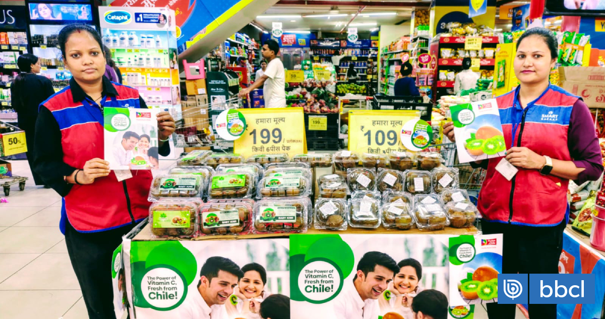 Kiwis chilenos aterrizan en supermercados de uno de los estados más exclusivos de la India