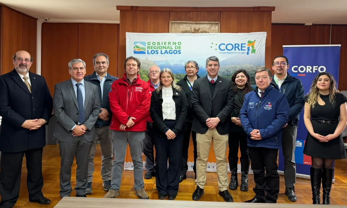 Los Lagos define desafíos productivos hacia 2030 con foco en tecnología y crecimiento