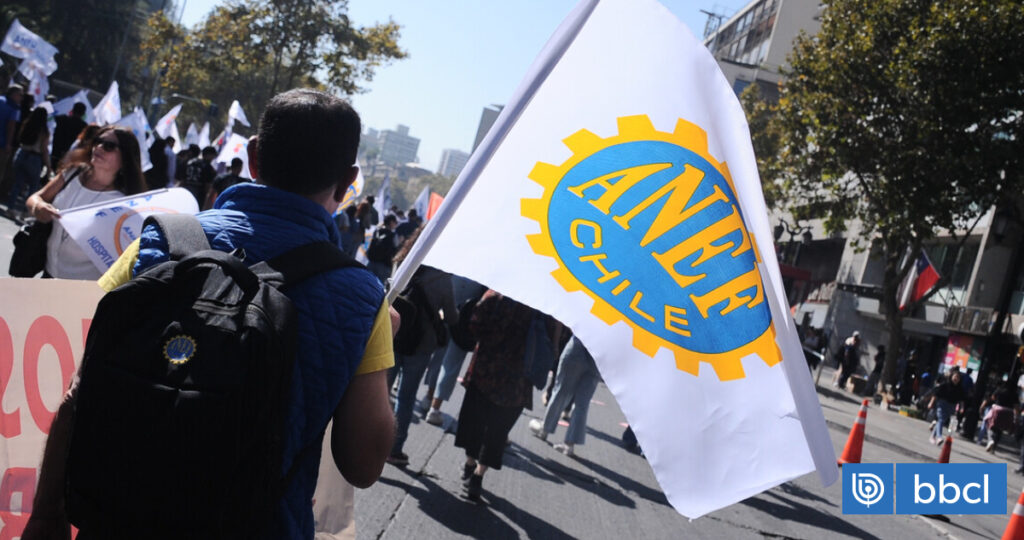 «No conocen el funcionamiento del Estado»: ANEF cuestiona comisión revisora de estatuto administrativo