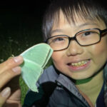 Un niño de 10 años descubrió que las mariposas pueden conservar recuerdos de cuando eran orugas