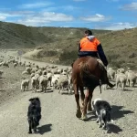 El proyecto de restauración ecológica que busca salvar la Patagonia
