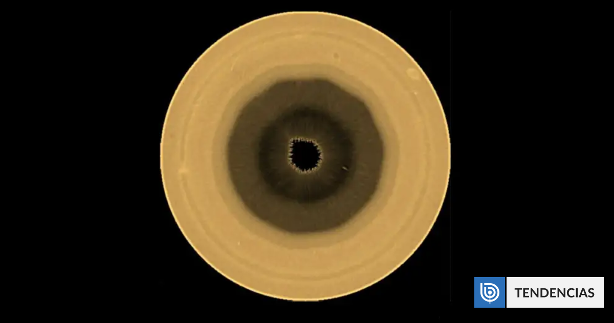 Astrónomos detectan figura gigante de 10 lados en Saturno | Ciencia y Tecnología