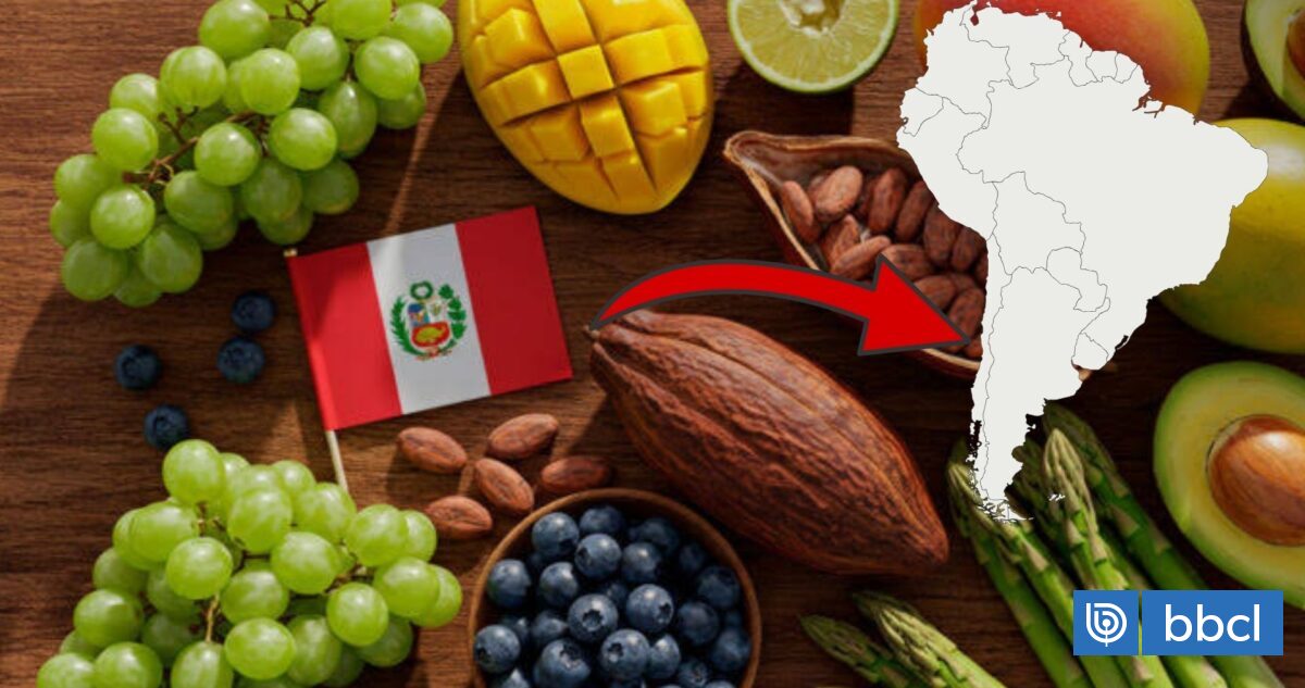 Chile está comprando cada vez más productos peruanos: así lo revelan los datos oficiales