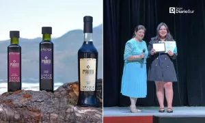 Empresa ícono del lago Maihue (Futrono) fue premiada en concurso sobre turismo y sostenibilidad a nivel latinoamericano
