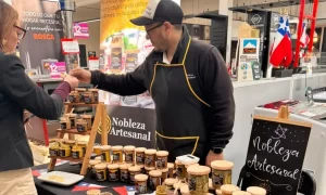 Lanzan Sinergia Sur, nuevo espacio de comercialización para Pymes en Valdivia