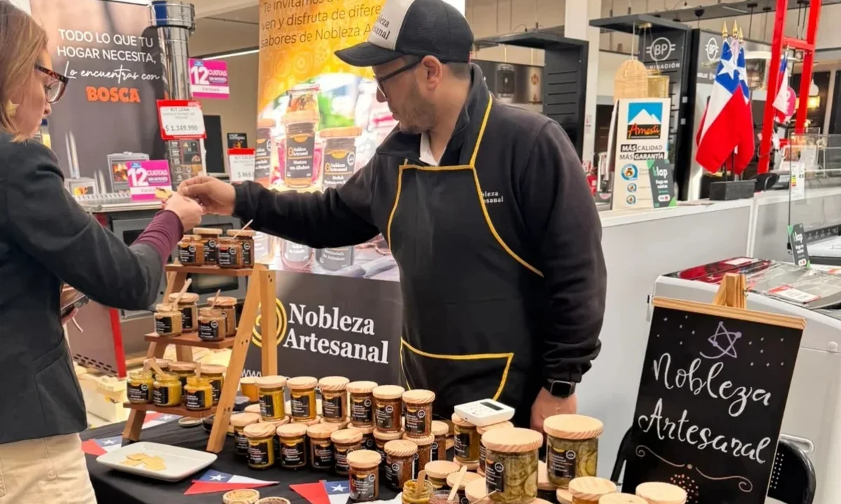Lanzan Sinergia Sur, nuevo espacio de comercialización para Pymes en Valdivia