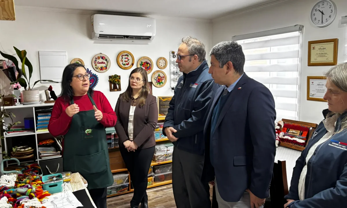 Llaman a personas de Los Lagos a postular a nuevo Capital Semilla Modo Empleo