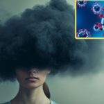 Niebla mental: La secuela silenciosa y cognitiva que deja el covid-19, descubierta por estudio chileno | Ciencia y Tecnología