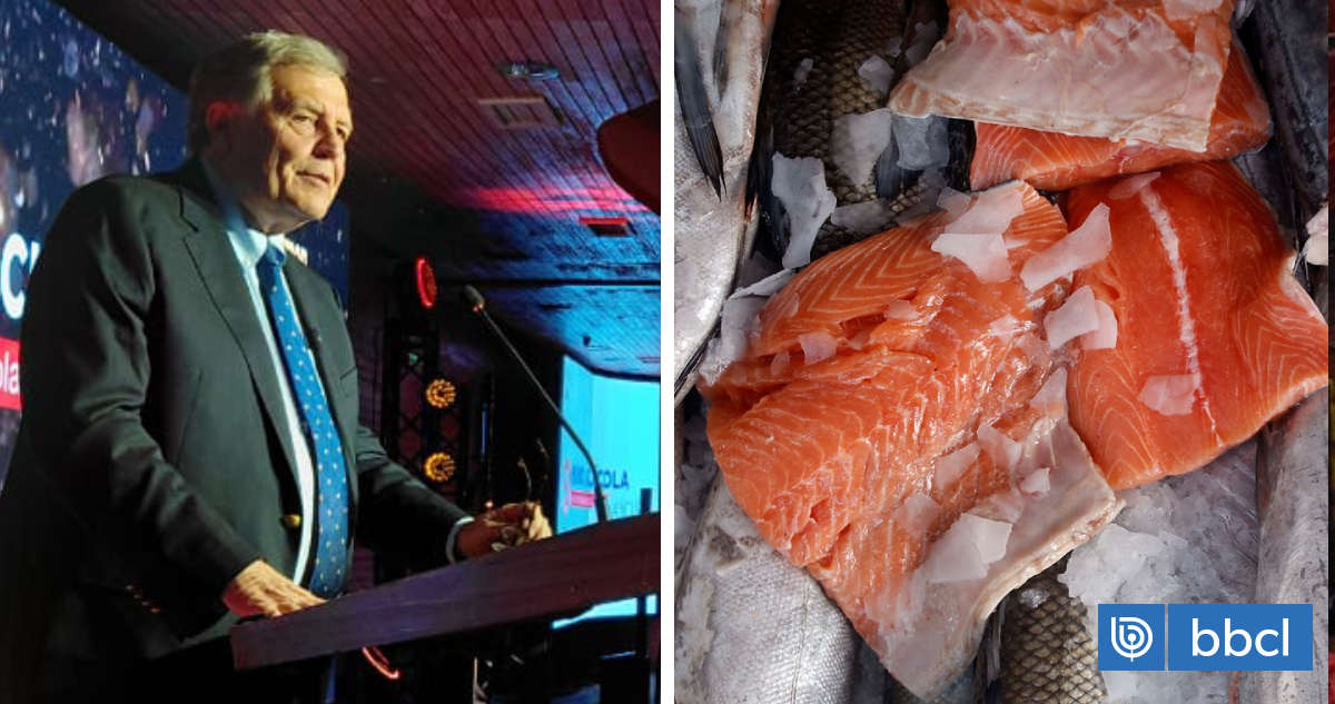 «No competimos con su industria»: Gremio salmonero remarca necesidad de exención arancelaria con EEUU
